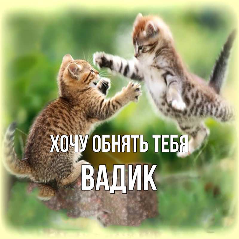 Картинка Хочу обнять тебя, Вадик