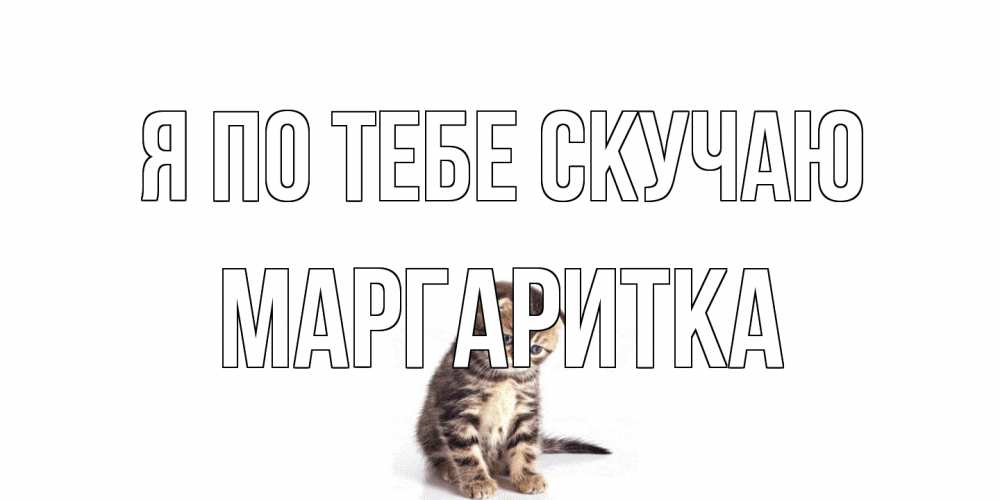 Открытка на каждый день с именем, Маргаритка Я по тебе скучаю кот Прикольная открытка с пожеланием онлайн скачать бесплатно 
