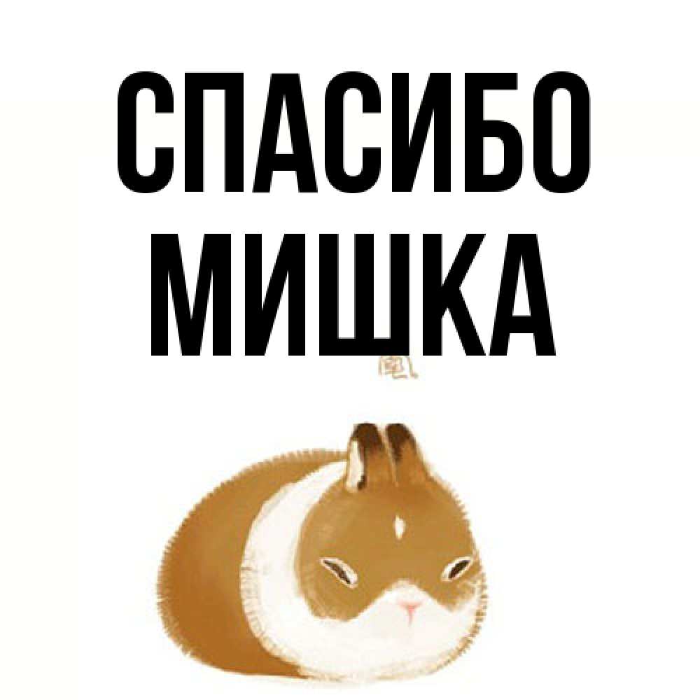 Открытка на каждый день с именем, Мишка Спасибо коричнево белый домашний питомец Прикольная открытка с пожеланием онлайн скачать бесплатно 