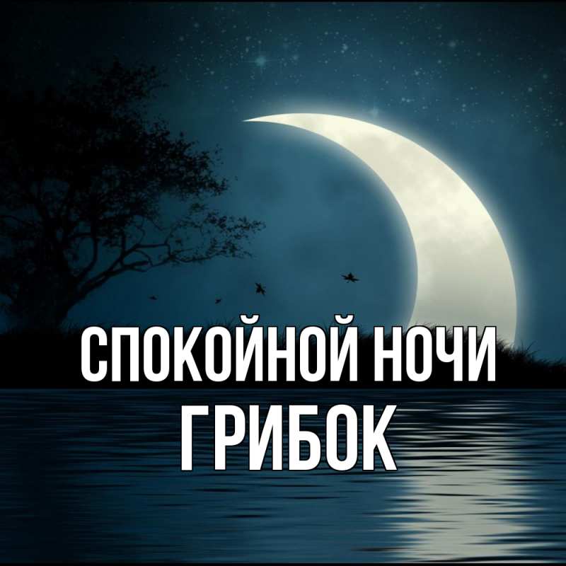 Картинка Спокойной ночи, Грибок