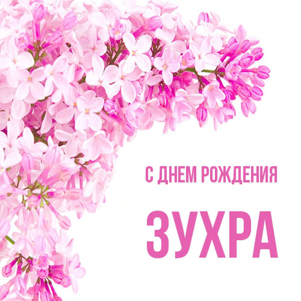 Открытка на каждый день с именем, Зухра С днем рождения Сирень на белом фоне Прикольная открытка с пожеланием онлайн скачать бесплатно 
