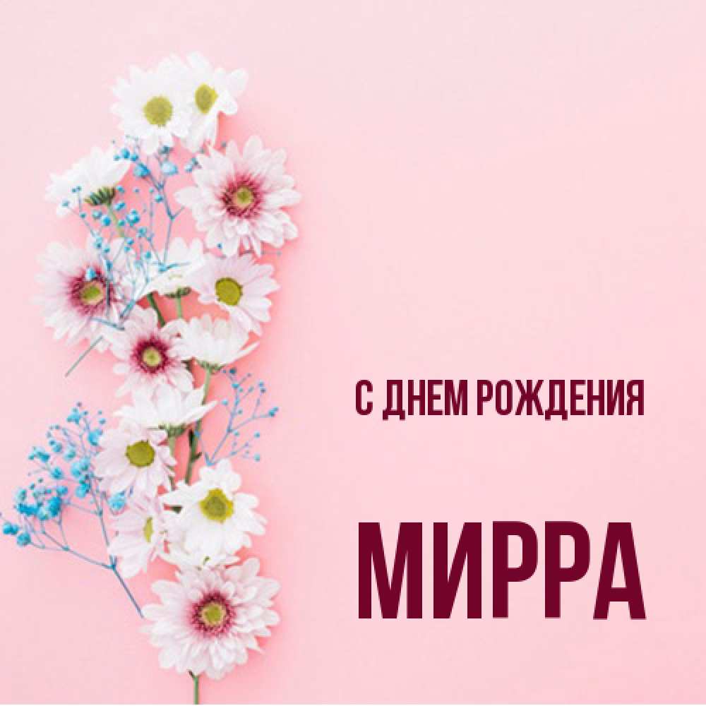 Открытка на каждый день с именем, Мирра С днем рождения Родная моя с днем рождения тебя картинка с цветами белыми и голубыми Прикольная открытка с пожеланием онлайн скачать бесплатно 