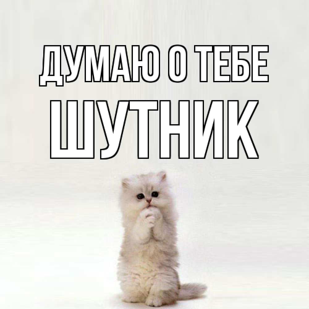 Открытка на каждый день с именем, Шутник Думаю о тебе кот стоит на задних лапах Прикольная открытка с пожеланием онлайн скачать бесплатно 