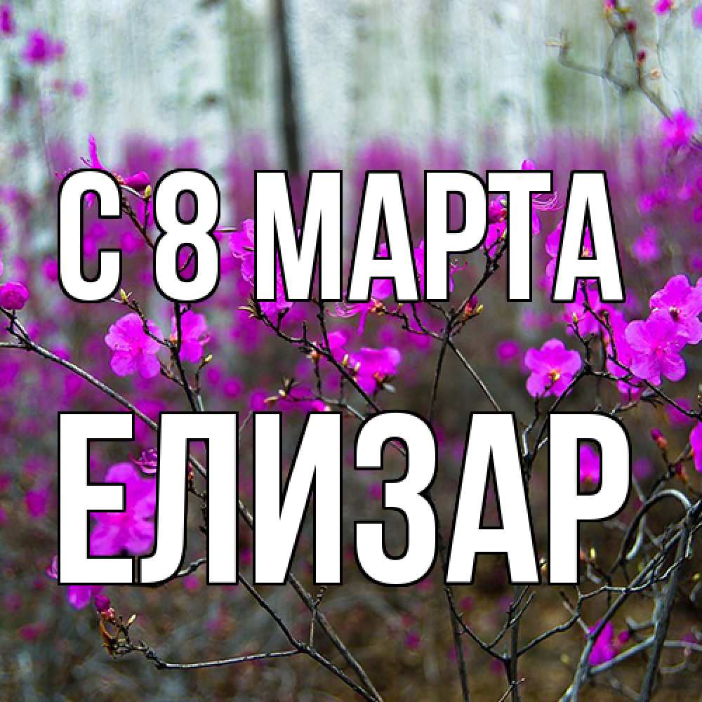 Открытка на каждый день с именем, Елизар C 8 МАРТА дикие цветы Прикольная открытка с пожеланием онлайн скачать бесплатно 
