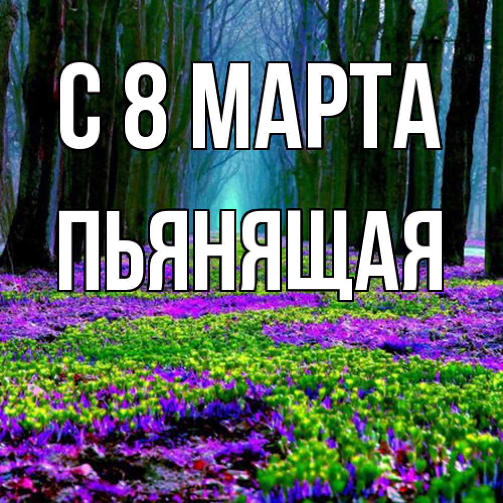 Открытка на каждый день с именем, Пьянящая C 8 МАРТА фиолетовые цветы в лесу 1 Прикольная открытка с пожеланием онлайн скачать бесплатно 