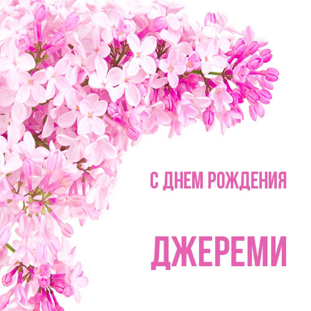 Открытка на каждый день с именем, Джереми С днем рождения Сирень на белом фоне Прикольная открытка с пожеланием онлайн скачать бесплатно 