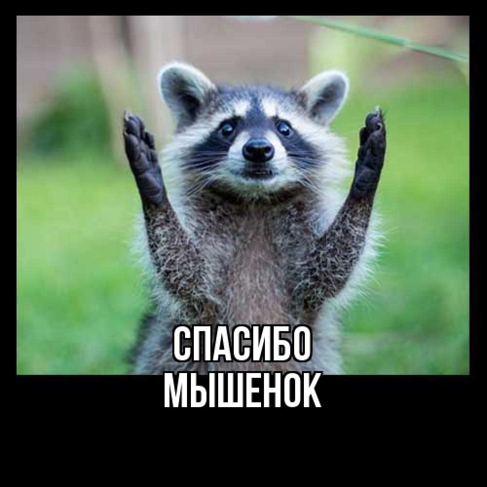 Открытка на каждый день с именем, Мышенок Спасибо милые животные Прикольная открытка с пожеланием онлайн скачать бесплатно 