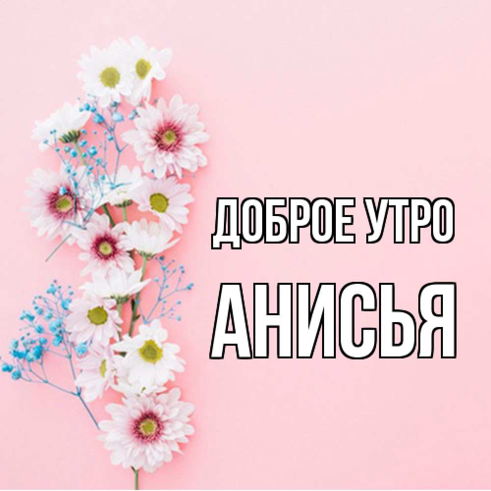 Открытка на каждый день с именем, Анисья Доброе утро цветы с подписью Прикольная открытка с пожеланием онлайн скачать бесплатно 