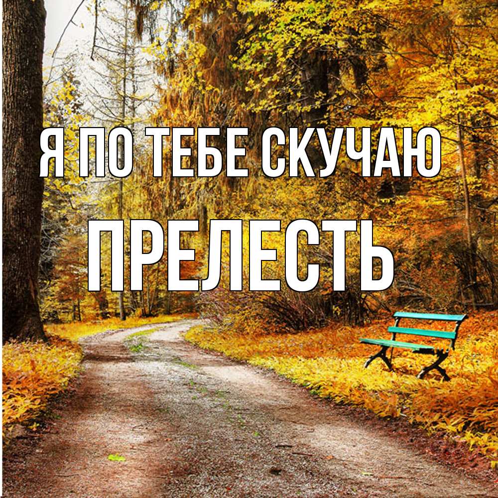 Открытка на каждый день с именем, прелесть Я по тебе скучаю зеленая лавочка и осенний лес Прикольная открытка с пожеланием онлайн скачать бесплатно 