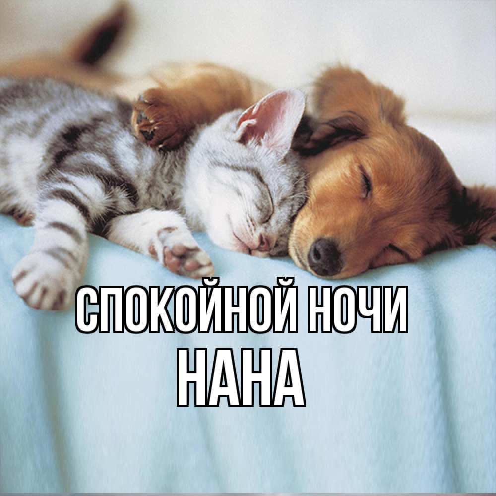 Открытка на каждый день с именем, Нана Спокойной ночи с животными Прикольная открытка с пожеланием онлайн скачать бесплатно 