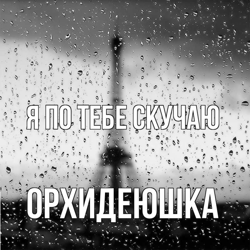 Картинка Я по тебе скучаю, Орхидеюшка