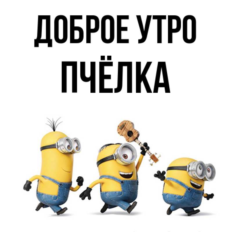 Картинка Доброе утро, Пчёлка