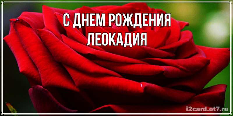 Картинка С днем рождения, Леокадия