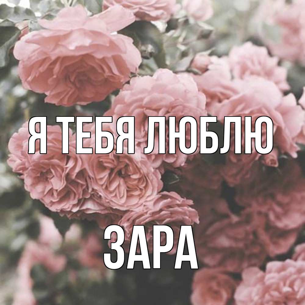 Открытка на каждый день с именем, Зара Я тебя люблю розы 3 Прикольная открытка с пожеланием онлайн скачать бесплатно 