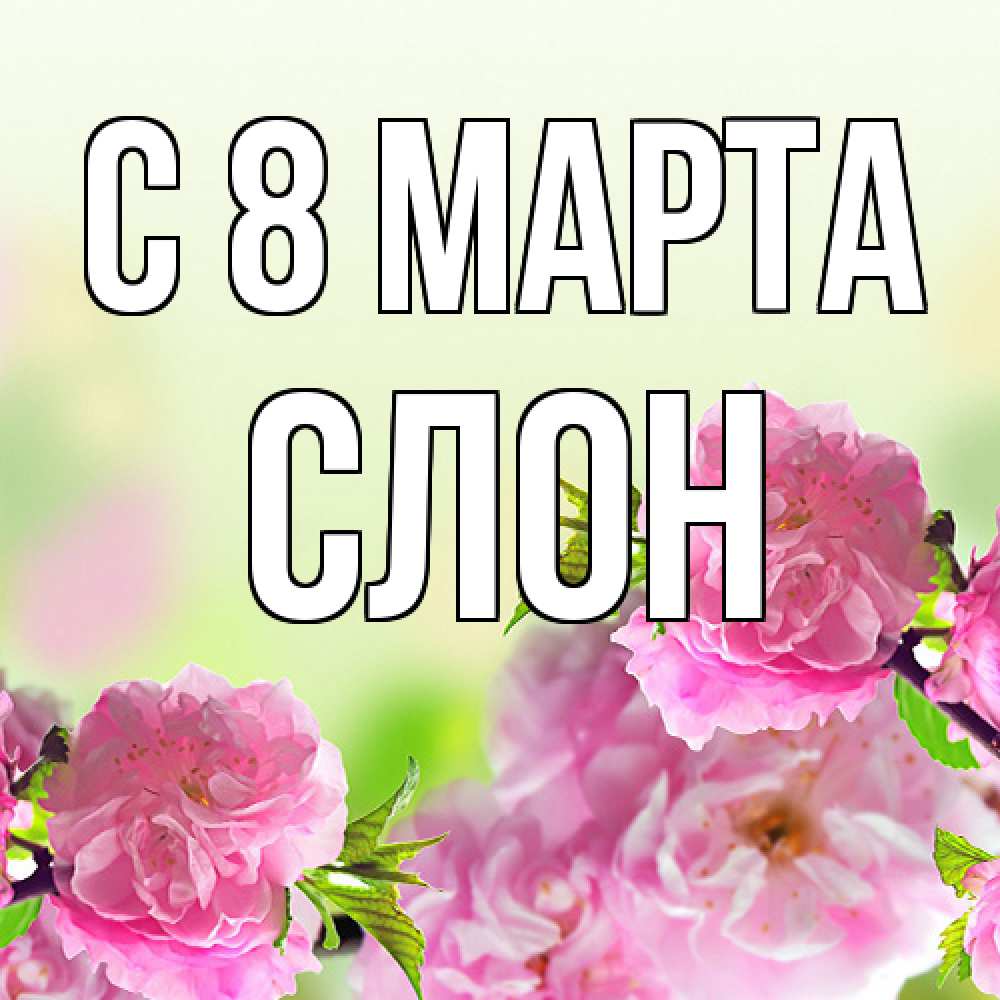 Открытка на каждый день с именем, Слон C 8 МАРТА цветы Прикольная открытка с пожеланием онлайн скачать бесплатно 