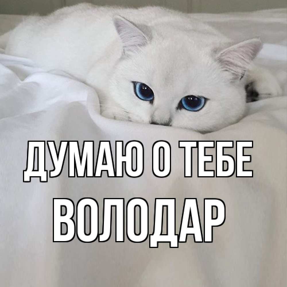 Открытка на каждый день с именем, Володар Думаю о тебе я очень по тебе скучаю и тоскую Прикольная открытка с пожеланием онлайн скачать бесплатно 