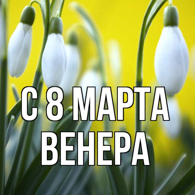 Картинка C 8 МАРТА, Венера