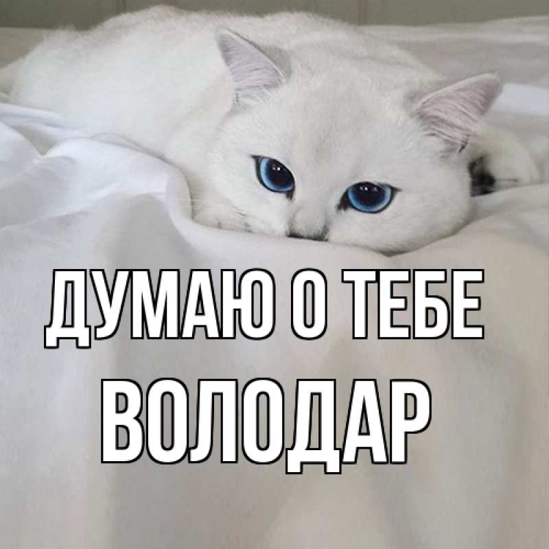 Картинка Думаю о тебе, Володар