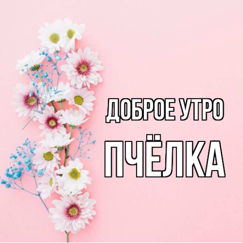 Картинка Доброе утро, Пчёлка