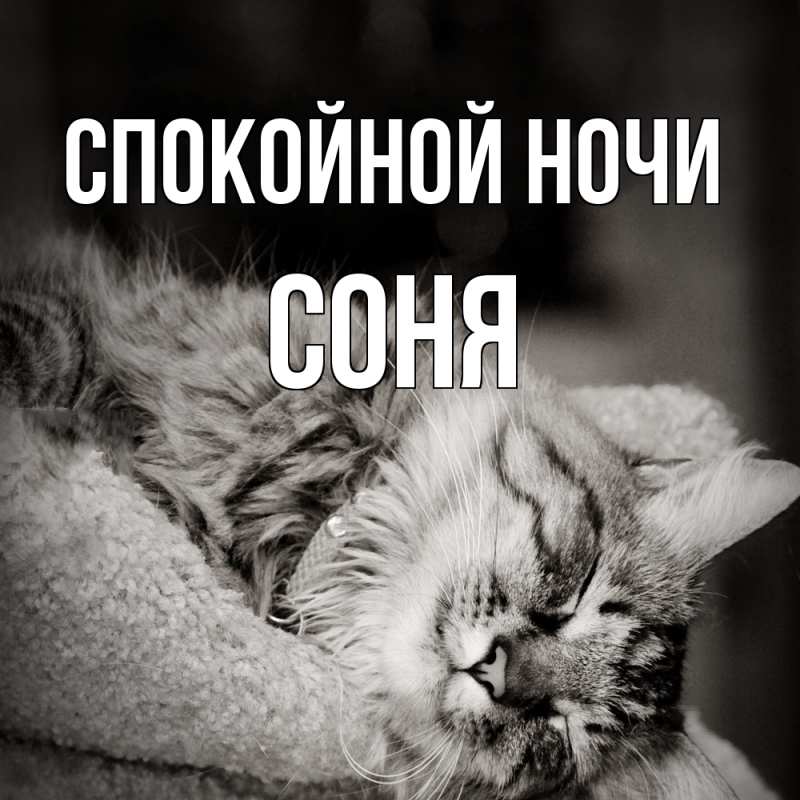 Картинка Спокойной ночи, Соня