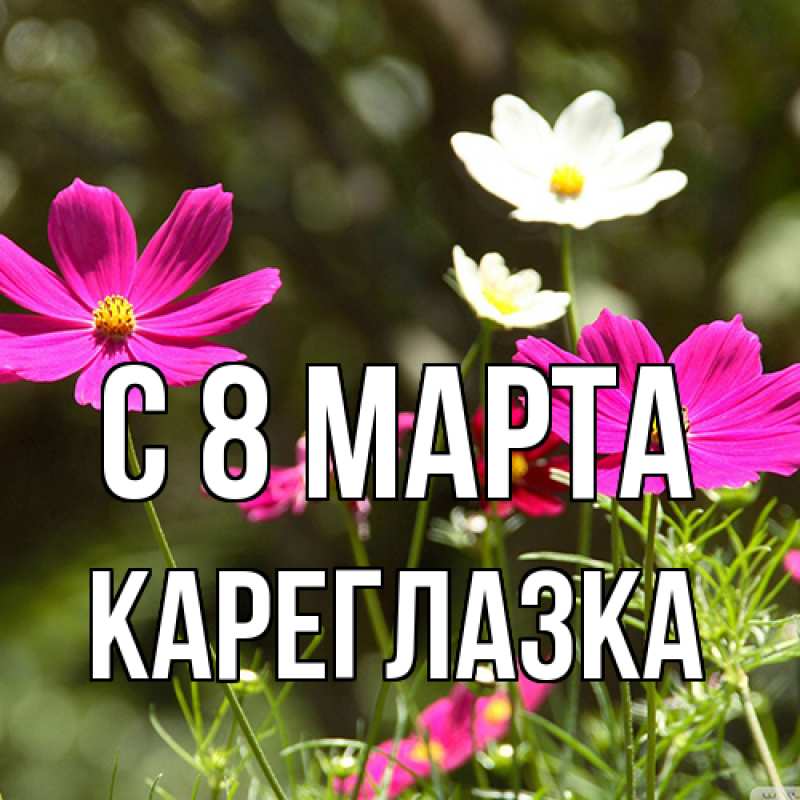 Картинка C 8 МАРТА, кареглазка