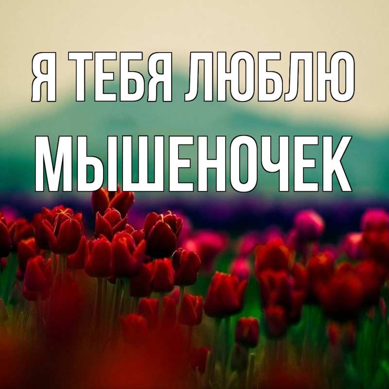 Картинка Я тебя люблю, Мышеночек