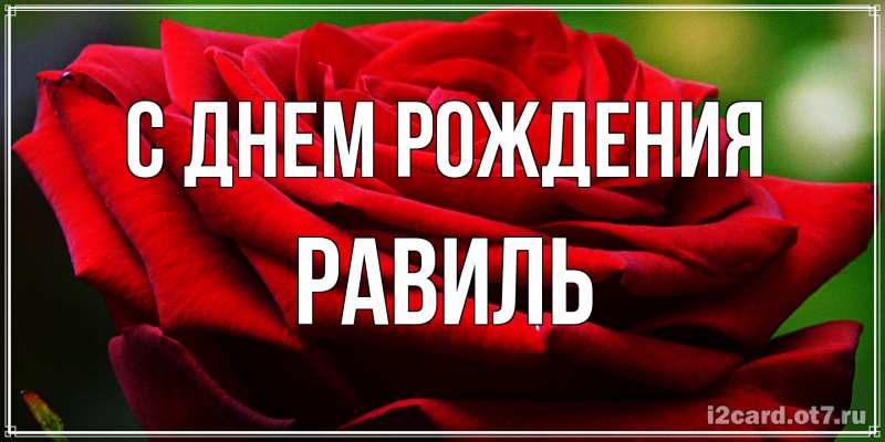 Картинка С днем рождения, Равиль