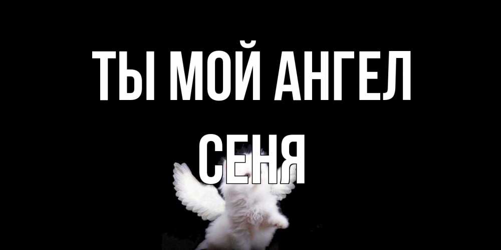 Открытка на каждый день с именем, Сеня Ты мой ангел Кот ангел Прикольная открытка с пожеланием онлайн скачать бесплатно 