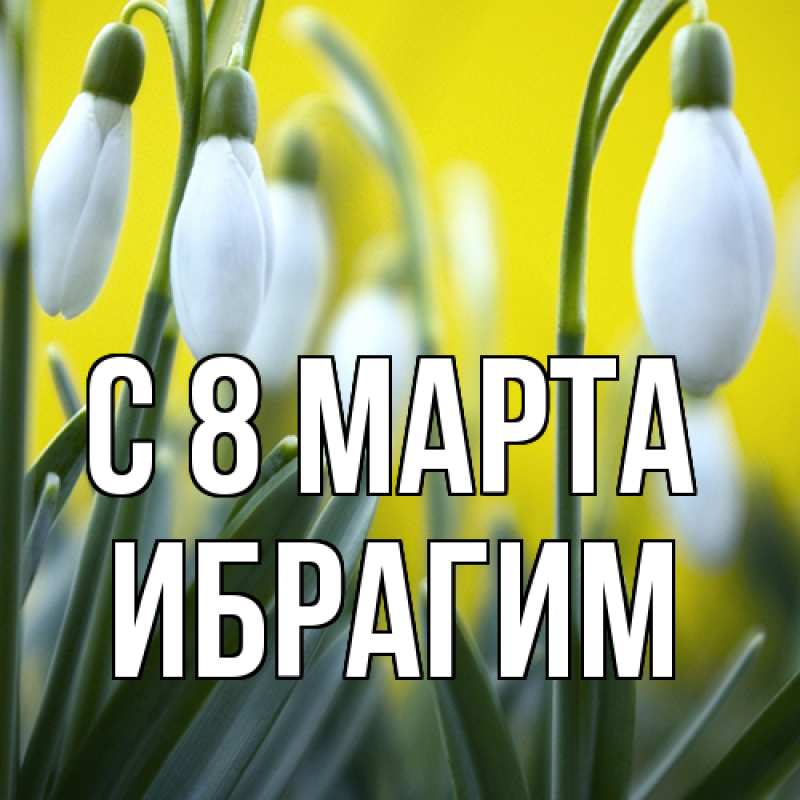 Картинка C 8 МАРТА, Ибрагим