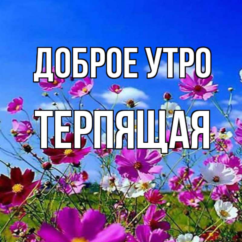 Картинка Доброе утро, Терпящая