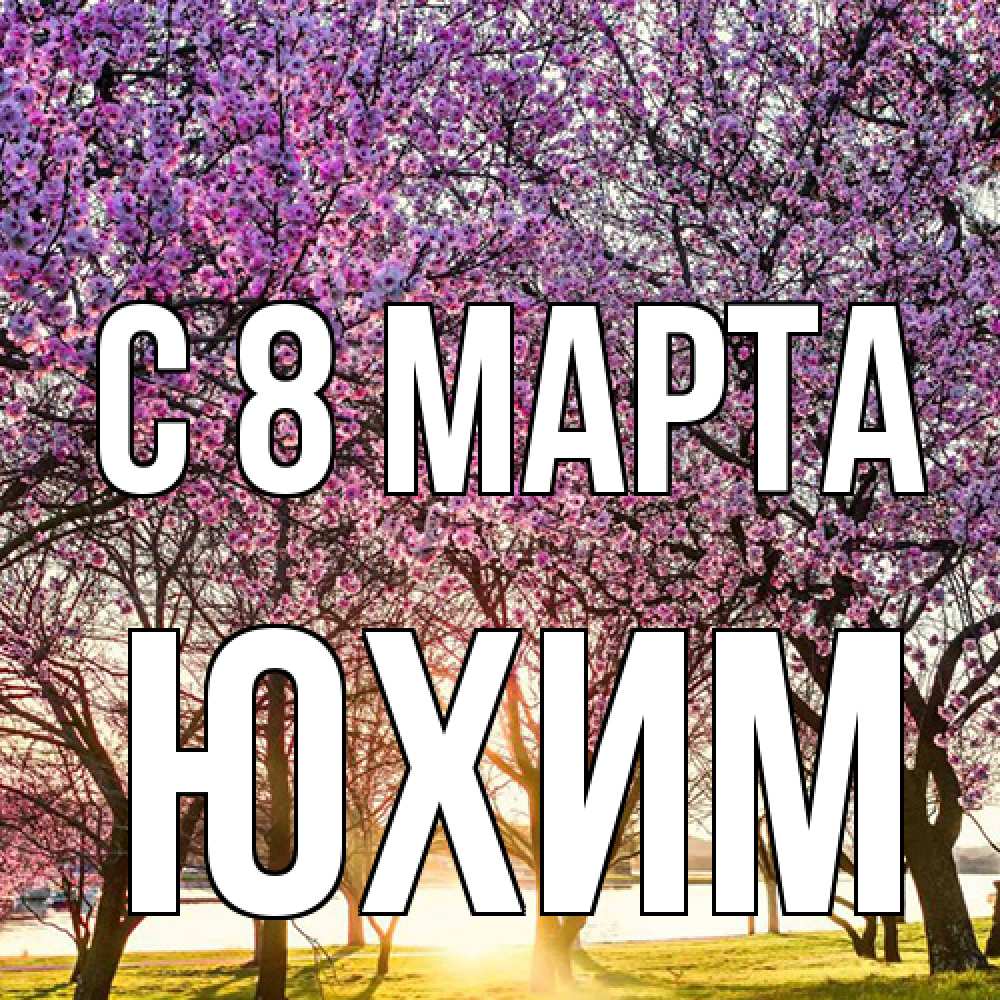Открытка на каждый день с именем, Юхим C 8 МАРТА международный женский день Прикольная открытка с пожеланием онлайн скачать бесплатно 