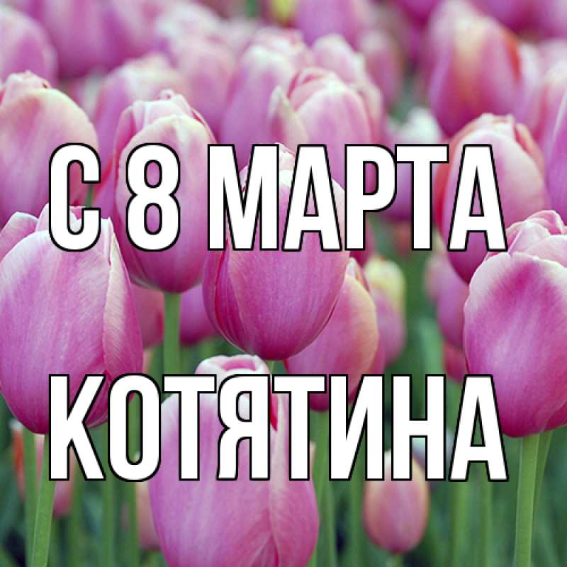 Картинка C 8 МАРТА, Котятина