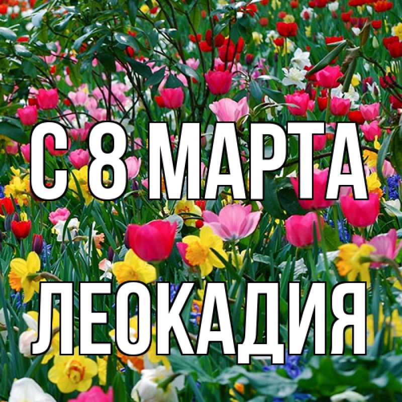 Картинка C 8 МАРТА, Леокадия