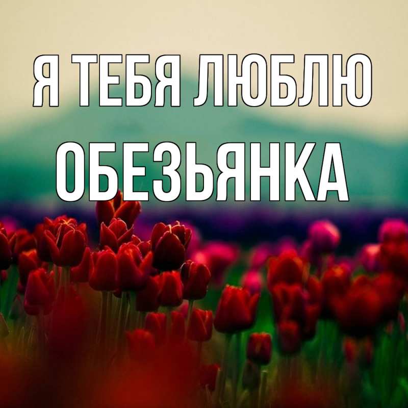 Картинка Я тебя люблю, Обезьянка