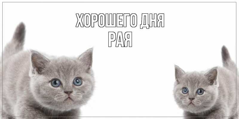 Картинка Хорошего дня, Рая