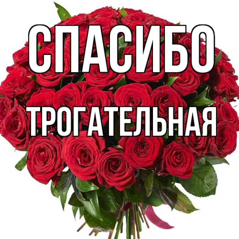 Картинка Спасибо, Трогательная