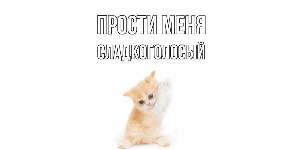 Открытка на каждый день с именем, Сладкоголосый Прости меня кот Прикольная открытка с пожеланием онлайн скачать бесплатно 