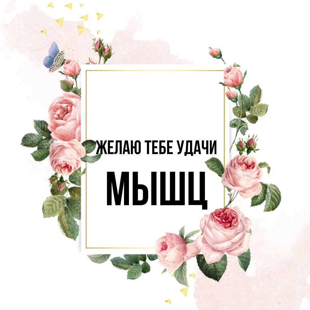 Открытка на каждый день с именем, Мышц Желаю тебе удачи розовые розы Прикольная открытка с пожеланием онлайн скачать бесплатно 