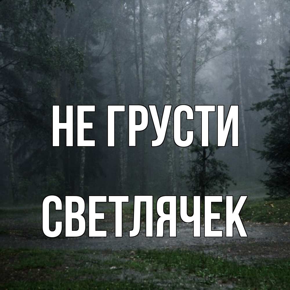 Открытка на каждый день с именем, Светлячек Не грусти осень Прикольная открытка с пожеланием онлайн скачать бесплатно 