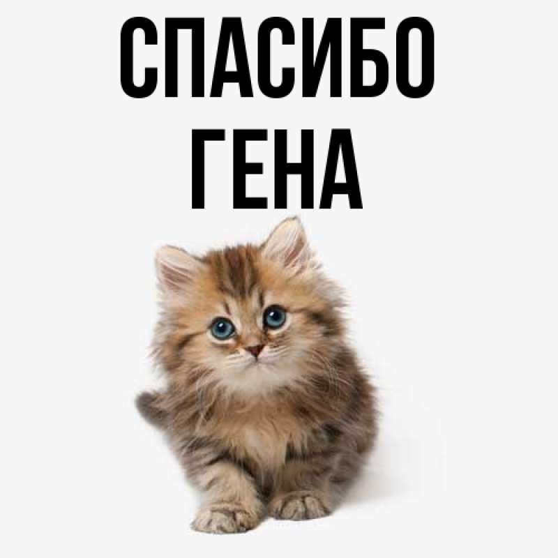 Открытка с именем, Гена, Спасибо