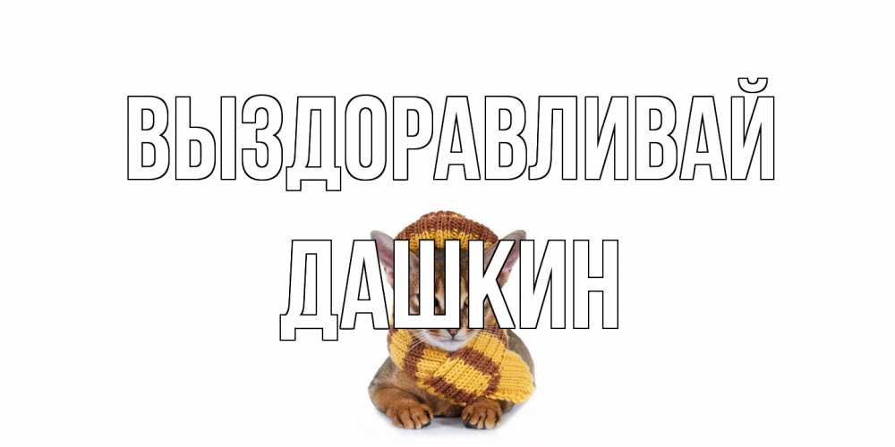 Открытка на каждый день с именем, Дашкин Выздоравливай родные не болейте Прикольная открытка с пожеланием онлайн скачать бесплатно 