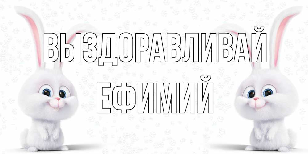 Открытка на каждый день с именем, Ефимий Выздоравливай не болей с зайцем Прикольная открытка с пожеланием онлайн скачать бесплатно 