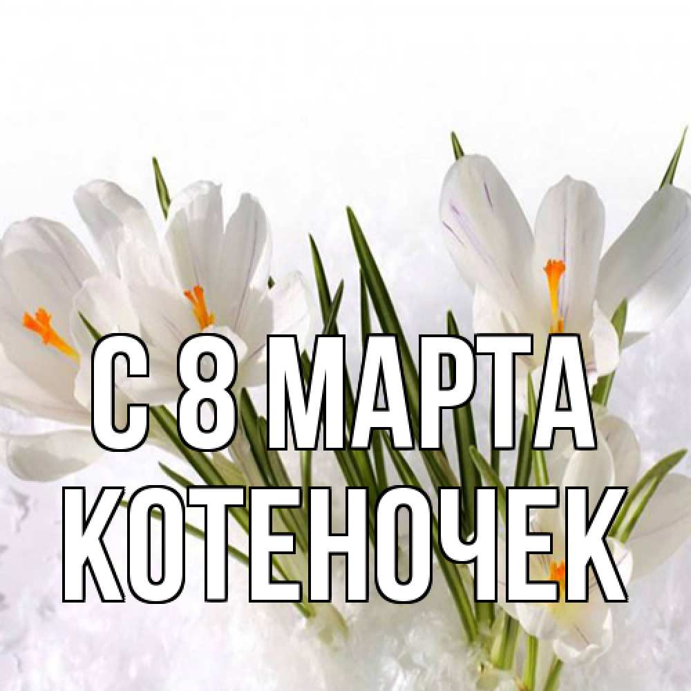 Открытка на каждый день с именем, Котеночек C 8 МАРТА под снегом Прикольная открытка с пожеланием онлайн скачать бесплатно 
