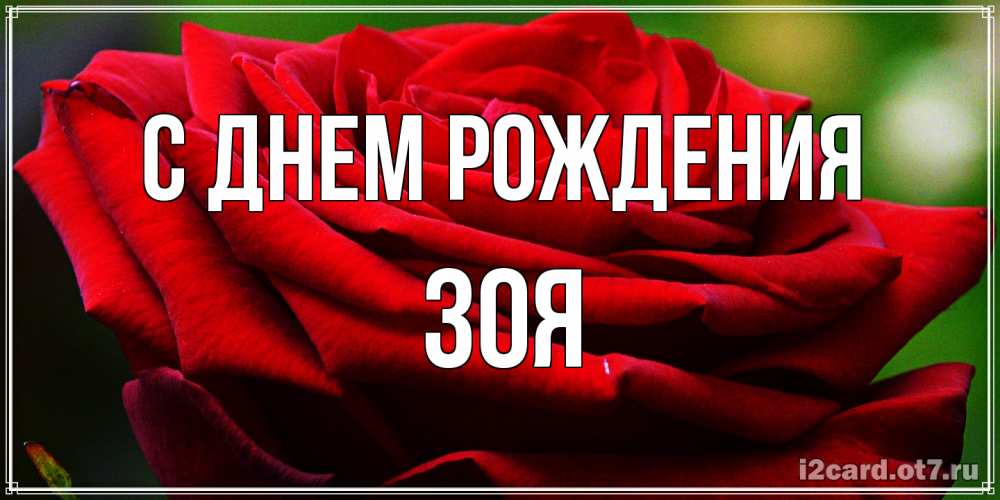Открытка на каждый день с именем, Зоя С днем рождения розочка очень красивая Прикольная открытка с пожеланием онлайн скачать бесплатно 