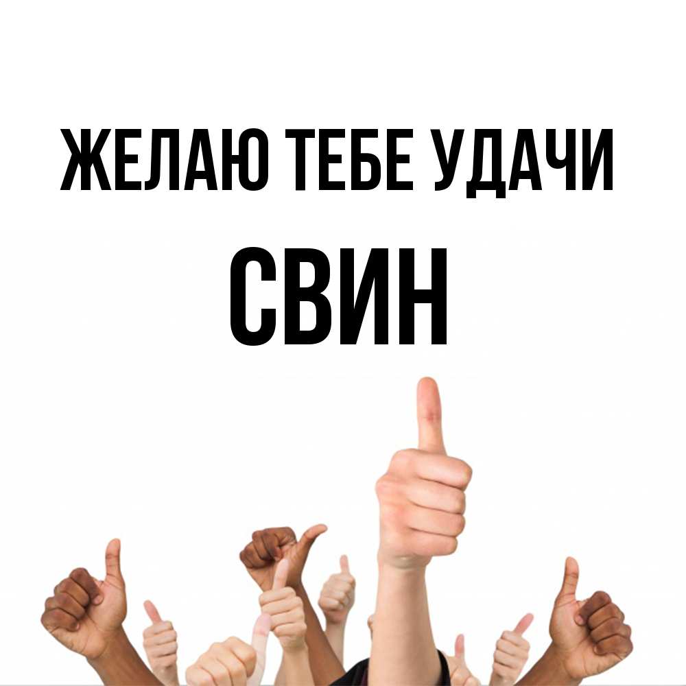 Открытка на каждый день с именем, Свин Желаю тебе удачи молодцом Прикольная открытка с пожеланием онлайн скачать бесплатно 