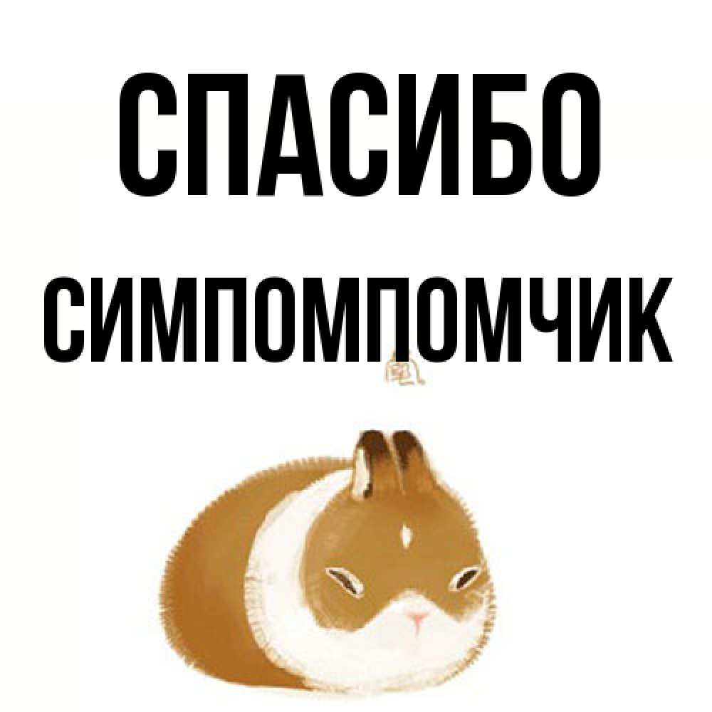 Открытка на каждый день с именем, Симпомпомчик Спасибо коричнево белый домашний питомец Прикольная открытка с пожеланием онлайн скачать бесплатно 
