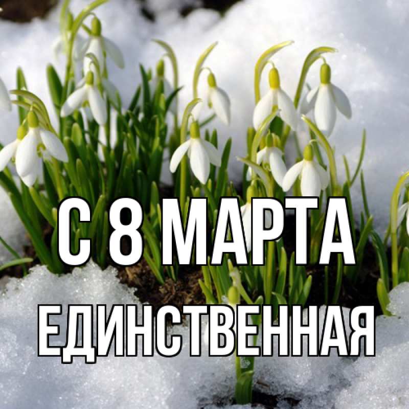 Картинка C 8 МАРТА, Единственная