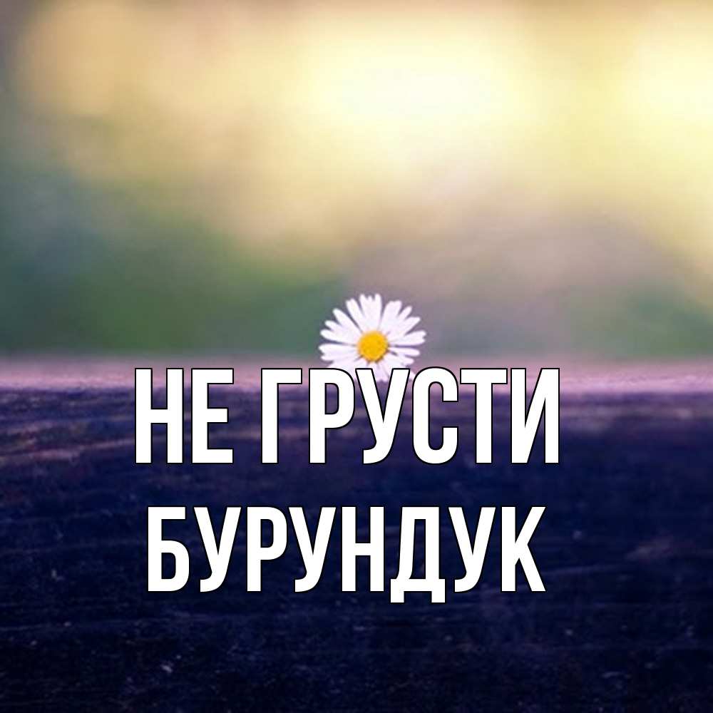 Открытка на каждый день с именем, Бурундук Не грусти красота Прикольная открытка с пожеланием онлайн скачать бесплатно 