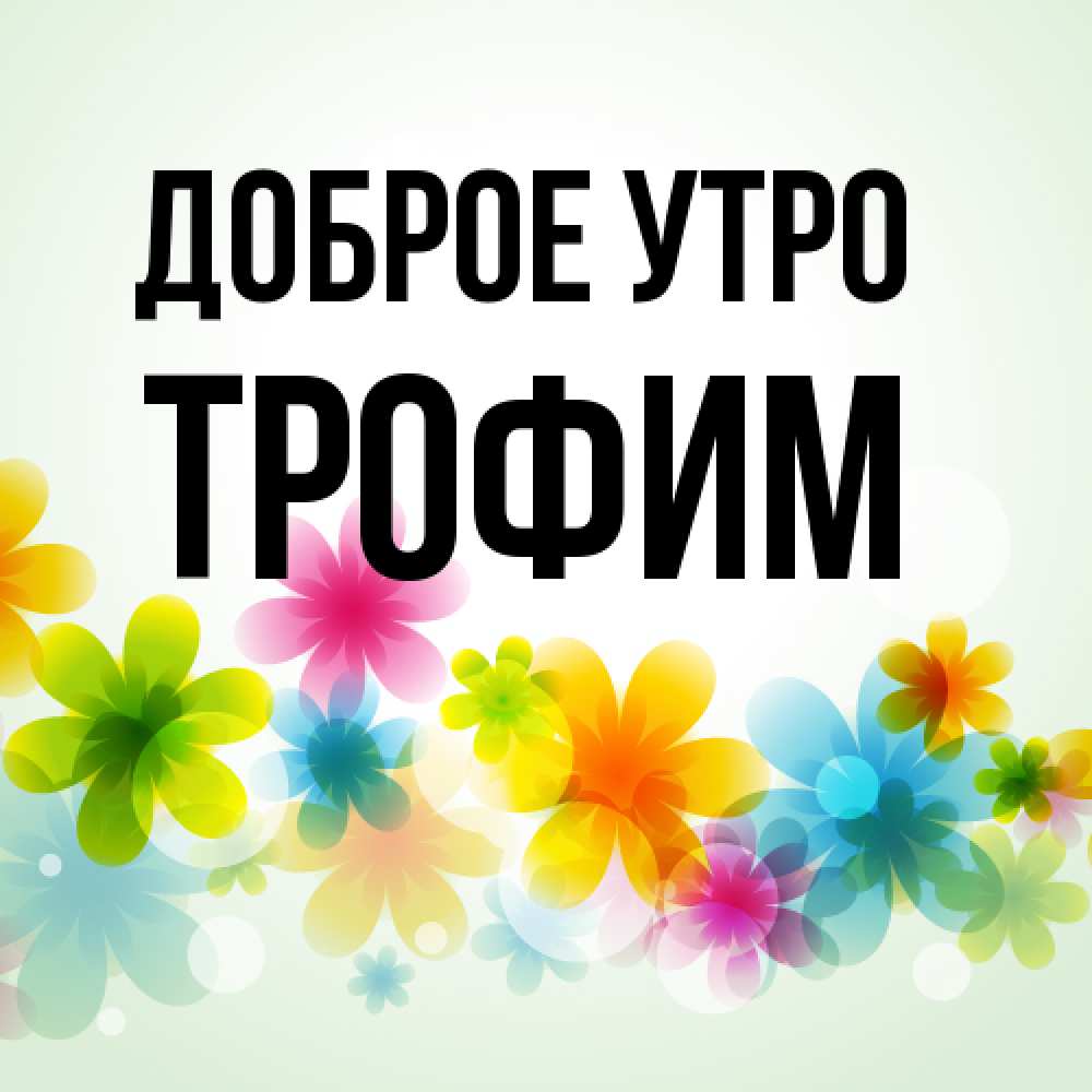 Открытка на каждый день с именем, Трофим Доброе утро позитивные цветочки Прикольная открытка с пожеланием онлайн скачать бесплатно 