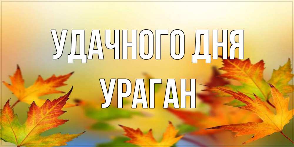 Открытка на каждый день с именем, Ураган Удачного дня открытка с пожеланием хорошего осеннего дня Прикольная открытка с пожеланием онлайн скачать бесплатно 